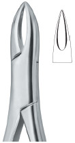 Tooth Ext Forceps Amr