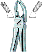 Tooth Ext Forceps