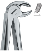 Tooth Ext Forceps