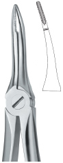 Tooth Ext Forceps