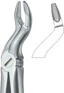 Tooth Ext Forceps