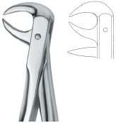 Tooth Ext Forceps