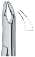 Tooth Ext Forceps Amr