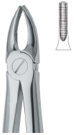 Tooth Ext Forceps