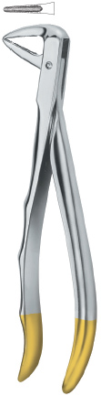 Tooth Ext Forceps