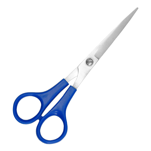 Plastic Handle Scissors