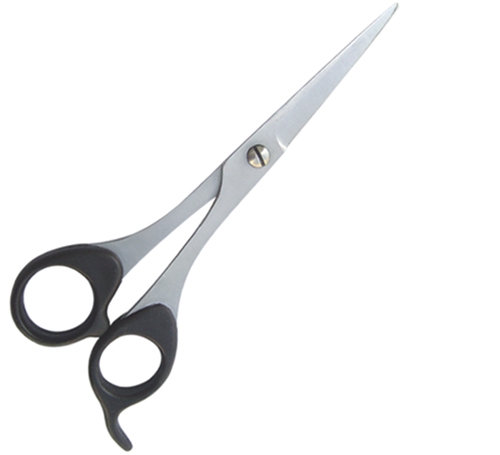 Plastic Handle Scissors